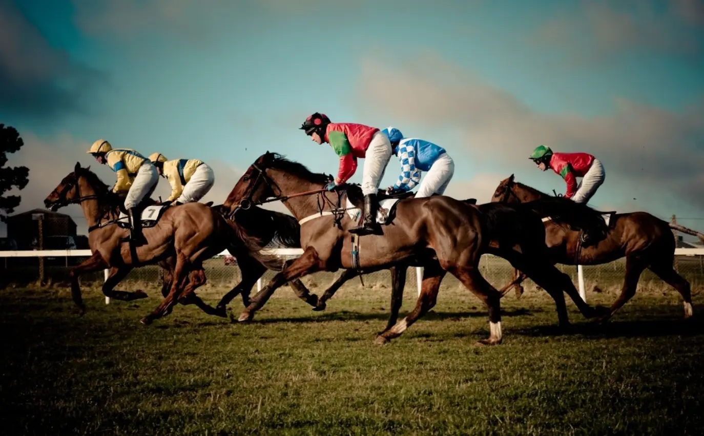 Horse racing in 1xBet